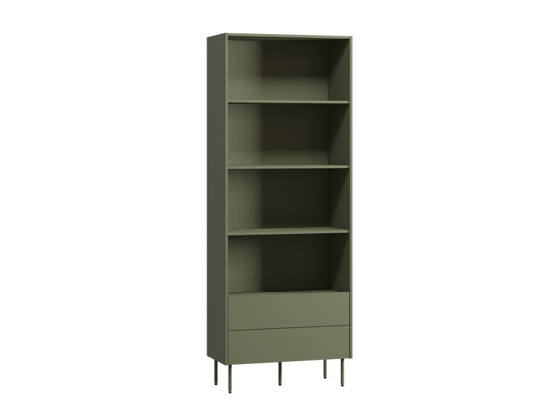 Стеллаж Дигарс 83x220 Оливковый